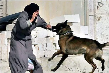 israeli_army_dog_attacking_woman.jpg
