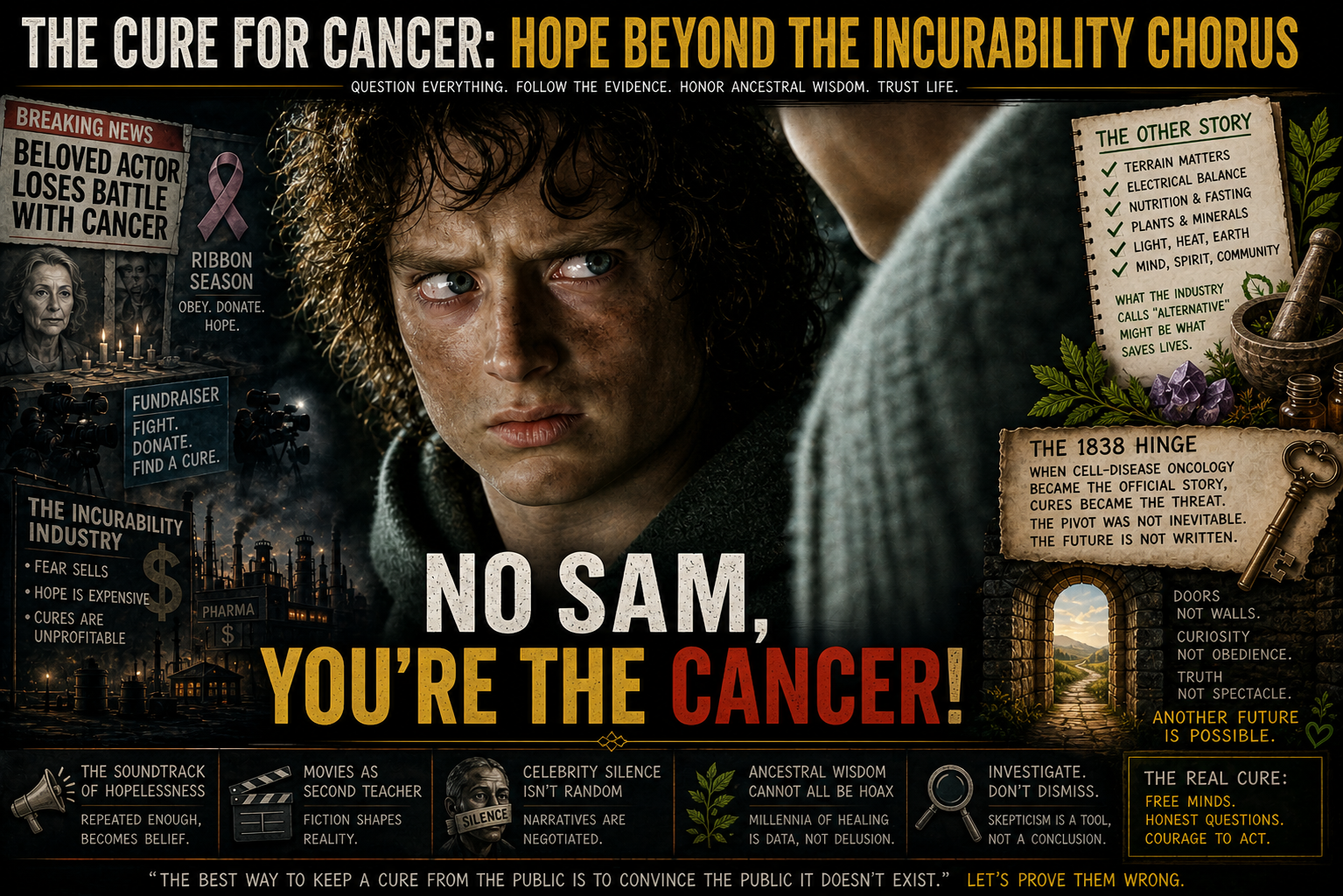 Return of the King (2003) frame: Frodo and Sam on the stairs — meme caption “No Sam, You’re the Cancer!” Same narrative trick: the sick voice accuses the loyal friend instead of the ring.