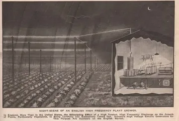 suppressed_atomic_crops7.jpg